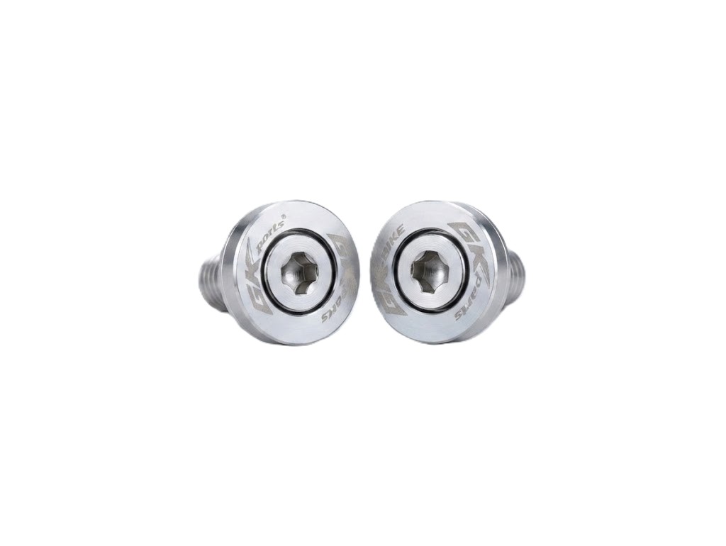 TORNILLO LUJO PLACA SILVER